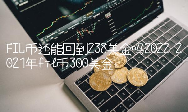 FIL币还能回到238美金吗2022 2021年fil币300美金