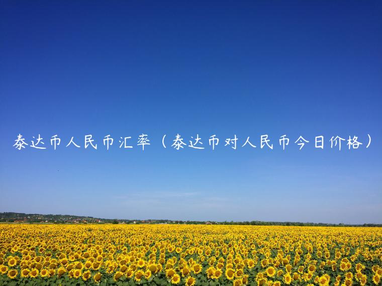 泰达币人民币汇率(泰达币对人民币今日价格)插图 泰达币人民币汇率(泰达币对人民币今日价格)