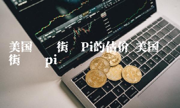 美国华尔街对Pi的估价 美国华尔街见闻pi