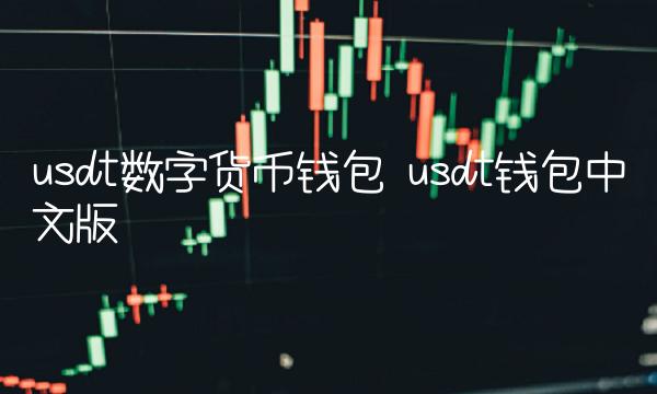 usdt数字货币钱包 usdt钱包中文版