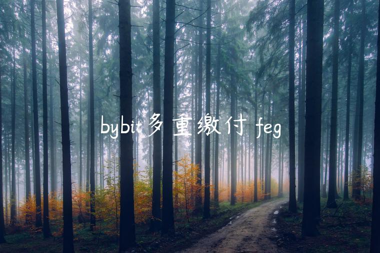 bybit多重缴付 feg