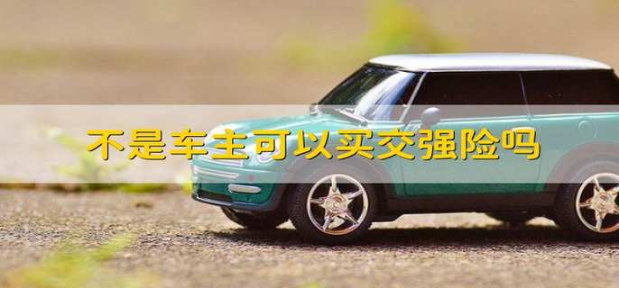 不是车主能不能买交强险？ 可以购买！