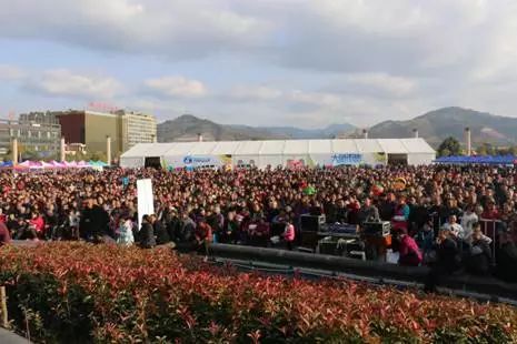 大象传媒苹果下载安装（大象影视苹果下载安装）13