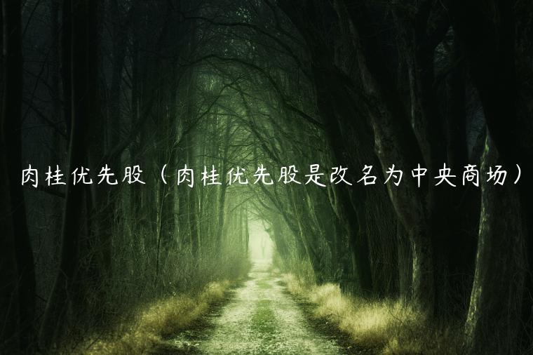 肉桂优先股（肉桂优先股是改名为中央商场）