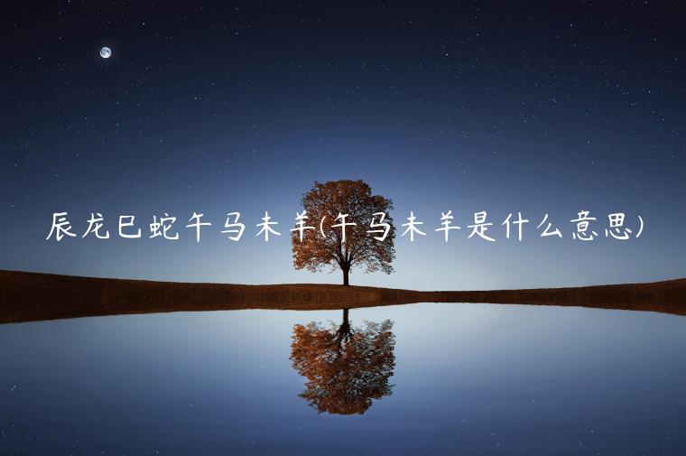 辰龙巳蛇午马未羊(午马未羊是什么意思)插图 辰龙巳蛇午马未羊(午马未羊是什么意思)