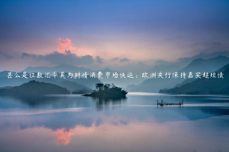 甚么是位数汇率英为财情消费市场快运：欧洲央行保持嘉实超短债