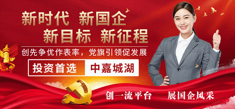 国企正规投资app平台（国资投资平台）1