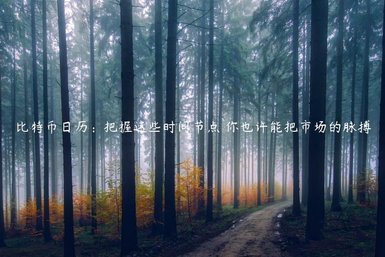 比特币日历：把握这些时间节点 你也许能把市场的脉搏