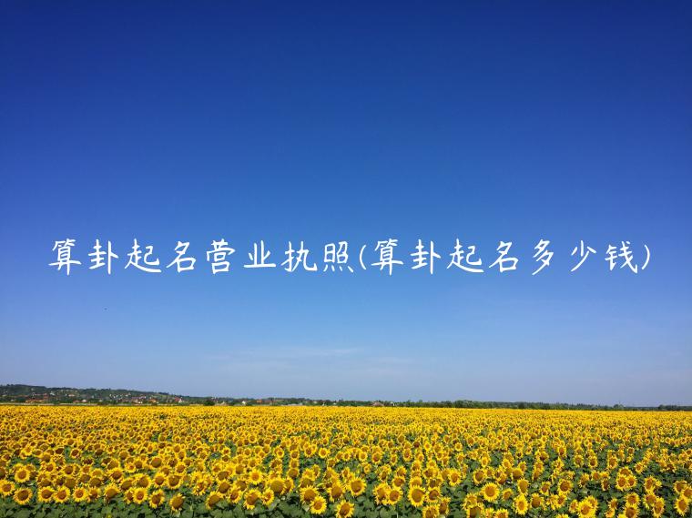 算卦起名营业执照(算卦起名多少钱)
