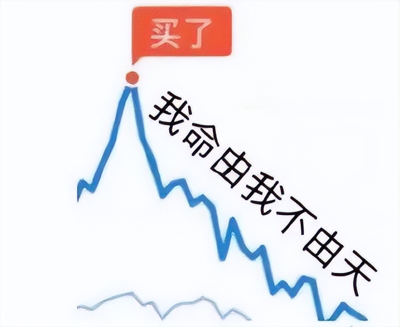 手把手教你理财基金（基金理财方法）4