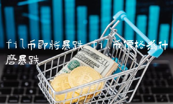 fil币价格为什么暴跌