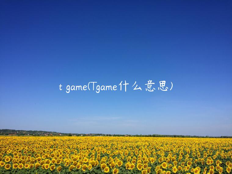 t game(Tgame什么意思)