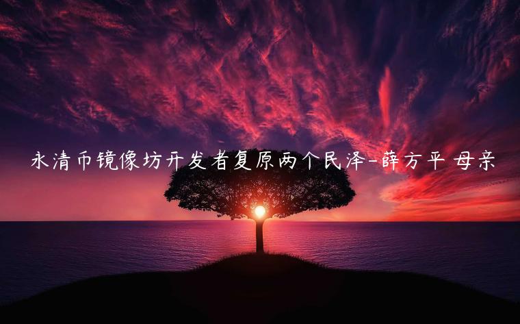 永清币镜像坊开发者复原两个民泽-薛方平 母亲
