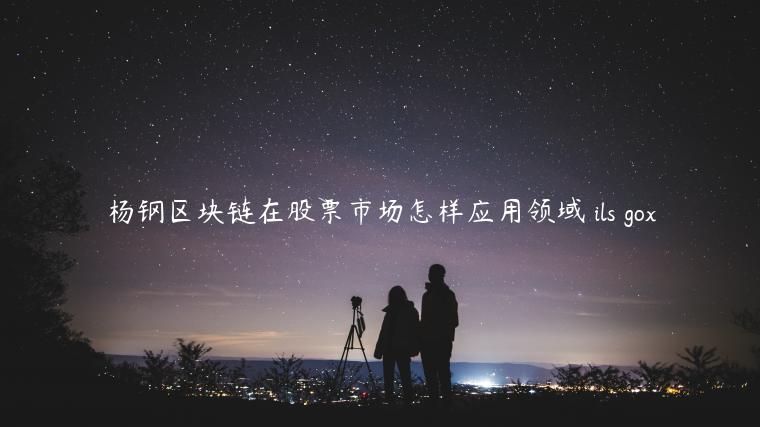 杨钢区块链在股票市场怎样应用领域 ils gox