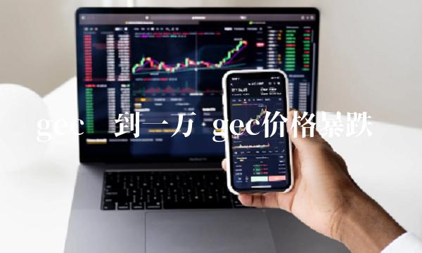 gec涨到一万 gec价格暴跌