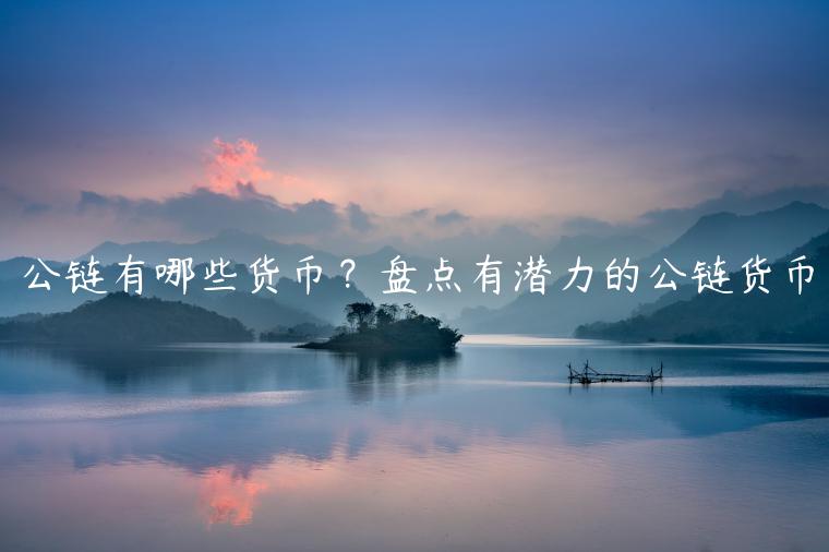 公链有哪些货币?盘点有潜力的公链货币插图 公链有哪些货币?盘点有潜力的公链货币