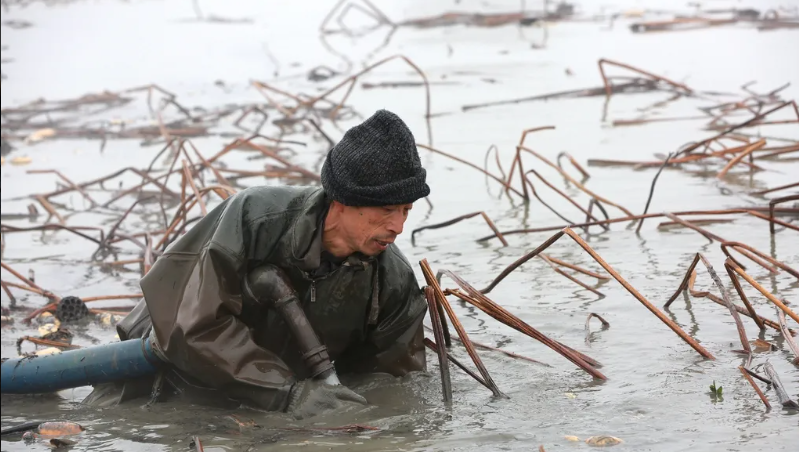 投资10元一小时赚500赚钱（微信投资10元一小时赚500）