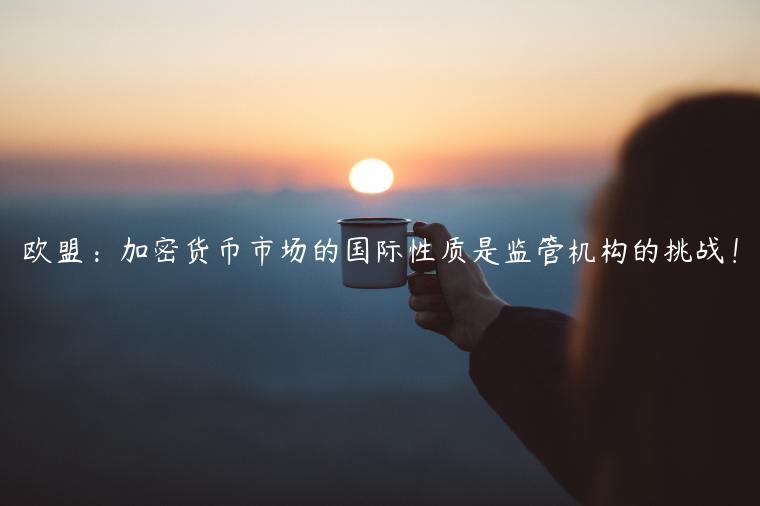 欧盟:加密货币市场的国际性质是监管机构的挑战!插图 欧盟:加密货币市场的国际性质是监管机构的挑战!