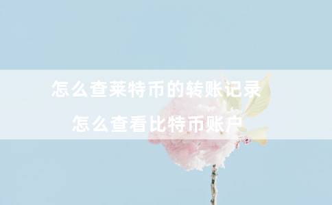 怎么查莱特币的转账记录（怎么查看比特币账户）