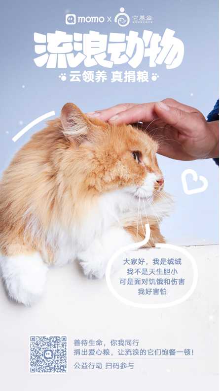 中国瑞兹基金有哪些(中国瑞兹基金有哪些股票)插图2 中国瑞兹基金有哪些(中国瑞兹基金有哪些股票)
