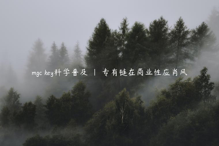 mgc key科学普及 | 专有链在商业性应肖风