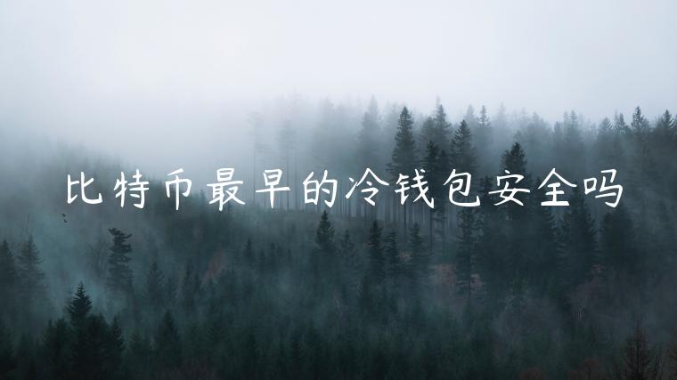 比特币最早的冷钱包安全吗