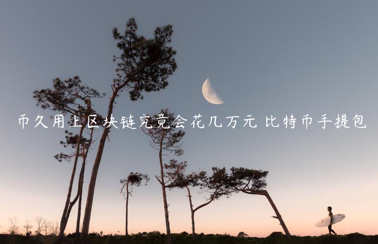 币久用上区块链究竟会花几万元 比特币手提包