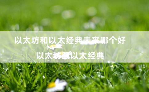 以太坊和以太经典未来哪个好（以太坊跟以太经典）