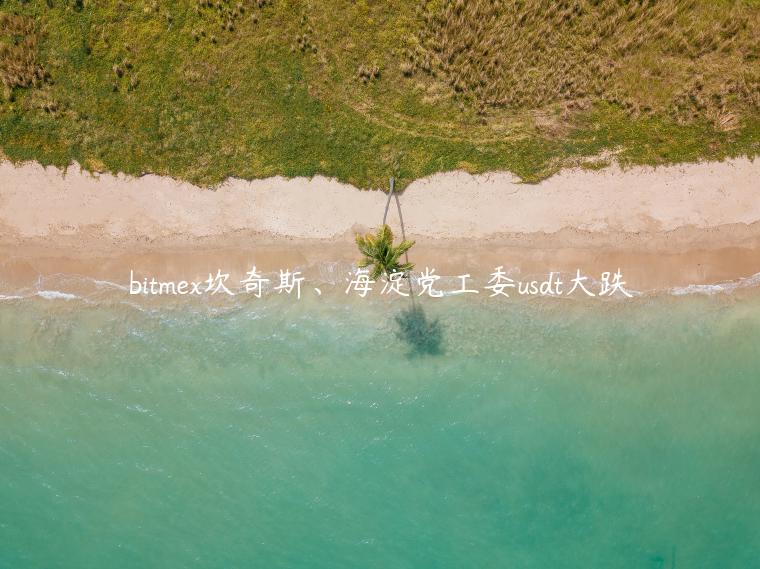 bitmex坎奇斯、海淀党工委usdt大跌