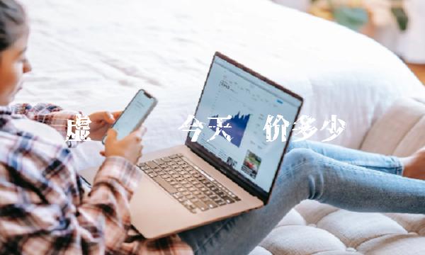 虚拟货币今天对价多少