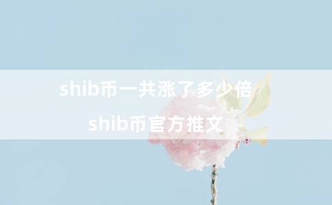 shib币一共涨了多少倍（shib币官方推文）