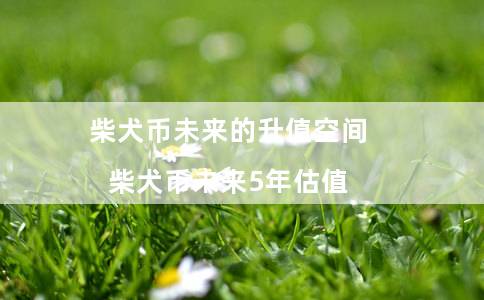 柴犬币未来的升值空间（柴犬币未来5年估值）