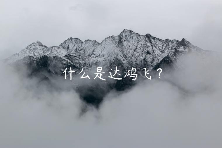 什么是达鸿飞?插图 什么是达鸿飞?