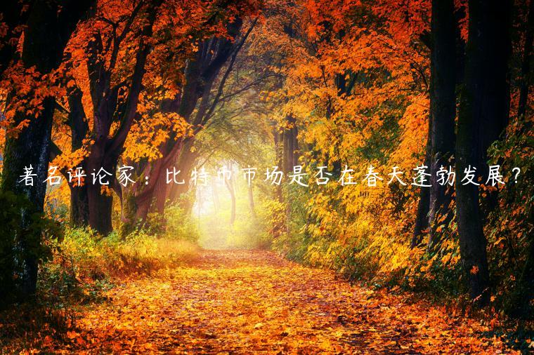 著名评论家:比特币市场是否在春天蓬勃发展?插图 著名评论家:比特币市场是否在春天蓬勃发展?