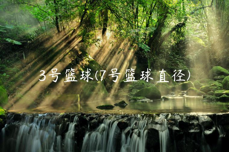 3号篮球(7号篮球直径)