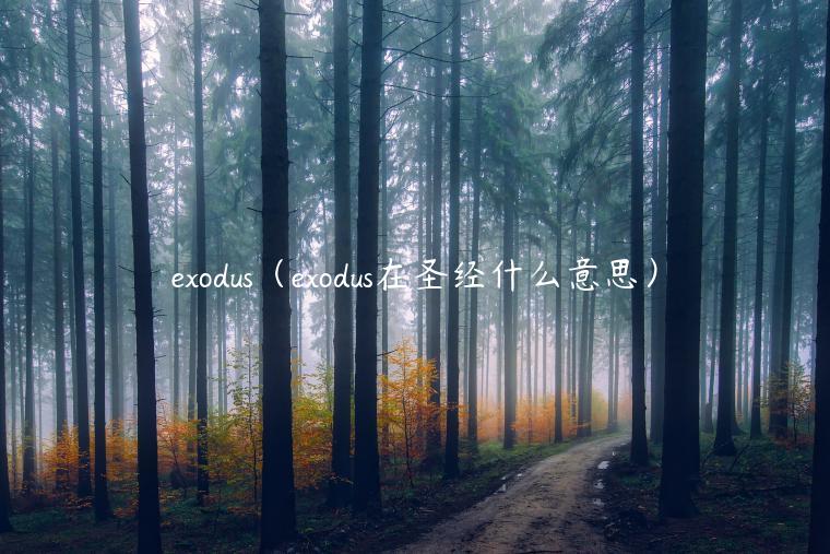 exodus（exodus在圣经什么意思）