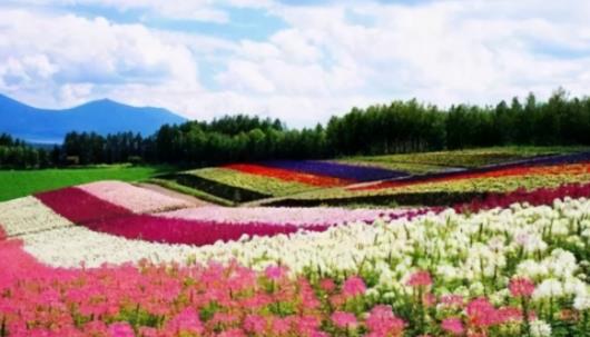 家庭农场取什么名字好(吉祥财运好的农场名字)1 家庭农场取什么名字好(吉祥财运好的农场名字)1