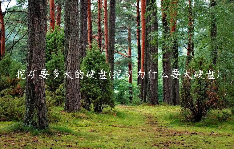 挖矿要多大的硬盘(挖矿为什么要大硬盘)