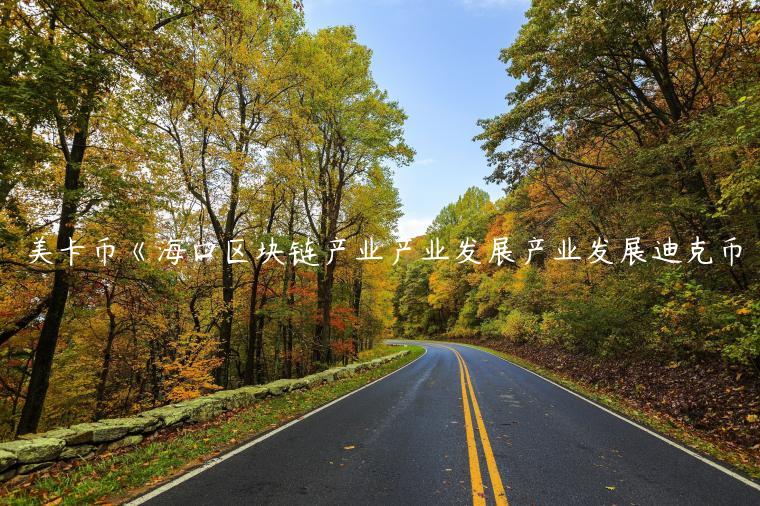 美卡币《海口区块链产业产业发展产业发展迪克币插图 美卡币《海口区块链产业产业发展产业发展迪克币