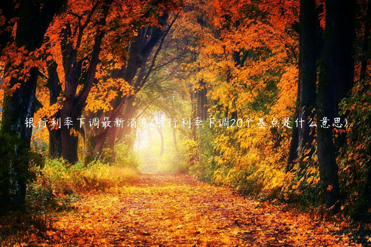 银行利率下调最新消息(银行利率下调20个基点是什么意思)