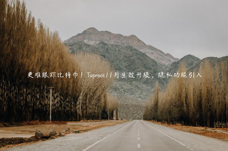 更难跟踪比特币!Taproot11月生效升级,隐私功能引入插图 更难跟踪比特币!Taproot11月生效升级,隐私功能引入