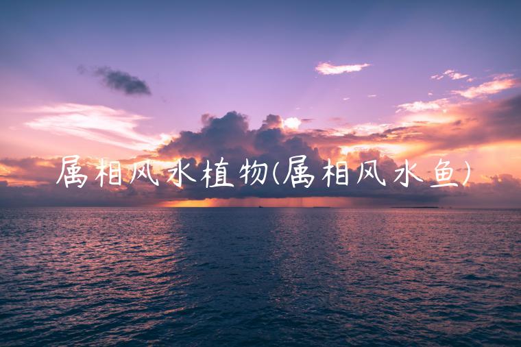 属相风水植物(属相风水鱼)插图 属相风水植物(属相风水鱼)