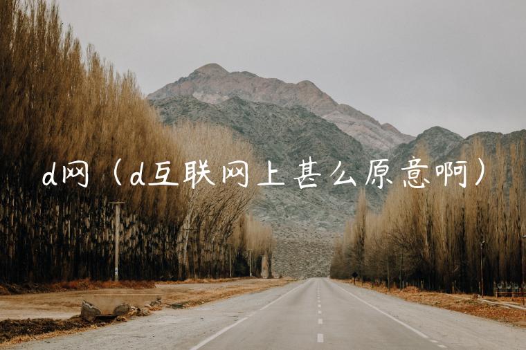 d网（d互联网上甚么原意啊）