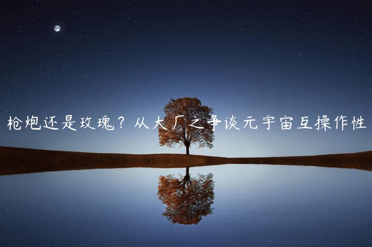 枪炮还是玫瑰？从大厂之争谈元宇宙互操作性
