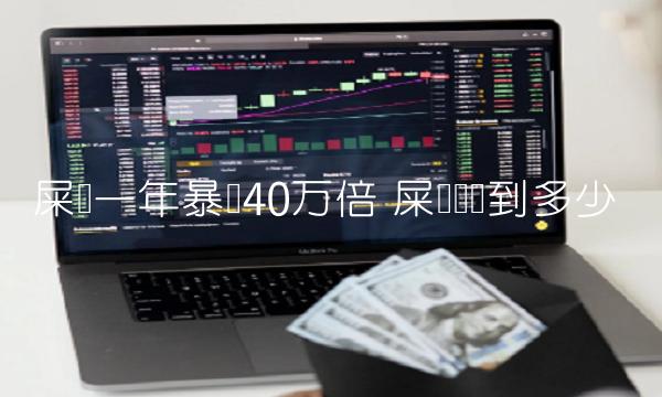 屎币一年暴涨40万倍 屎币会涨到多少