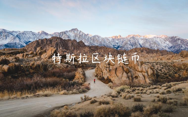 特斯拉区块链币插图 特斯拉区块链币