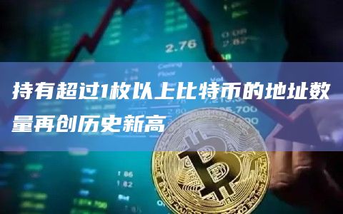 持有超过1枚以上比特币的地址数量再创历史新高