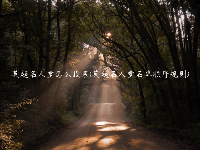 英超名人堂怎么投票(英超名人堂名单顺序规则)