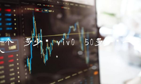 一个π多少钱 viv0ⅹ50多少钱一个
