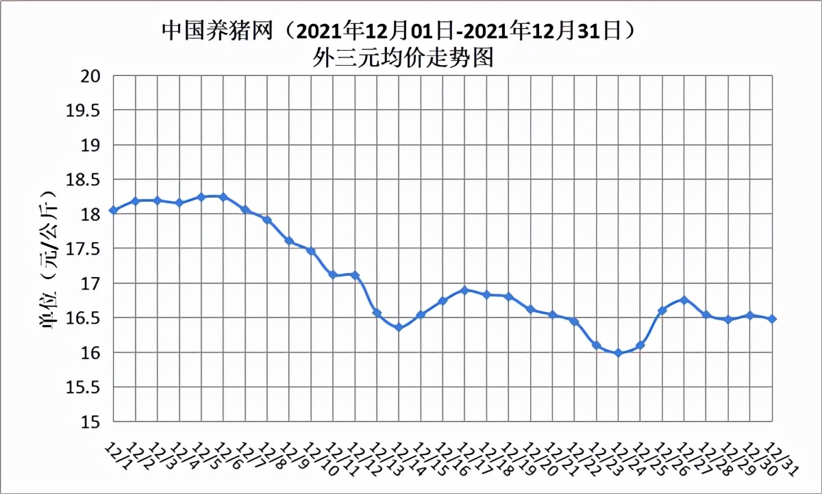 明年猪行情(明年猪行情如何)